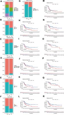 Ubiquitination-Related Molecular Subtypes and a Novel Prognostic Index for Bladder Cancer Patients